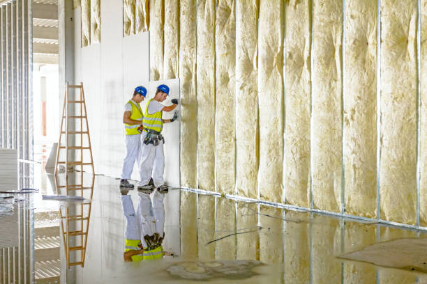 Best Specialty Insulation in Mount Jackson, VA